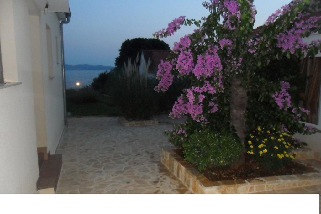 Apartments Nada Zadar Room photo
